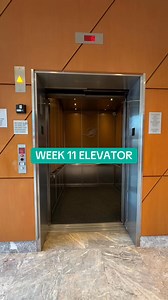 Week 11 elevator. #MiamiDolphins #FinsUp #NFL | Miami Dolphins Zone