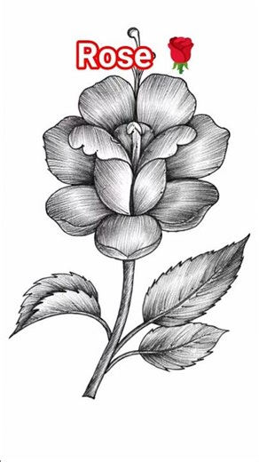 Rose 🌹#shortvideo #short #shorts #shortvideos #drawing # #drawing #art #satisfying #art #painting