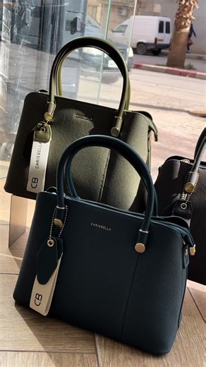 🛎️Sac New collection 🔥 #sac #chrisbella #bagcollection