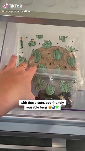 Grove Collaborative on TikTok