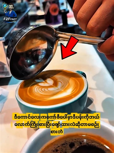 Interesting Facts on Language Translation