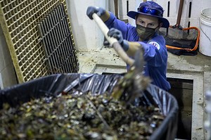 Austin Water flexes capability to fight zebra mussel infestation