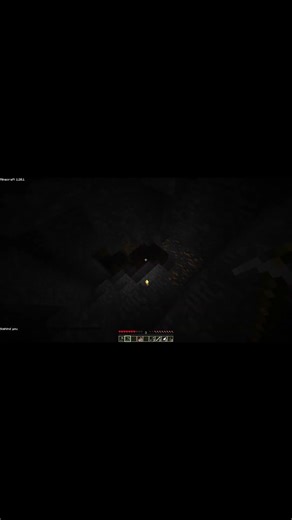 overreacting to black entities in the Wonderland.Jar Mod #minecrafthorror
