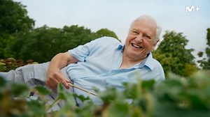 124K views · 8.6K reactions | Te presentamos algunas de las plantas más sorprendentes en lo que a reproducción se refiere  Descubre estas y otras maravillas de la naturaleza en 'Planeta Verde', un documental de #BBCearthEn0 disponible en Movistar Plus+ | Cero | Facebook