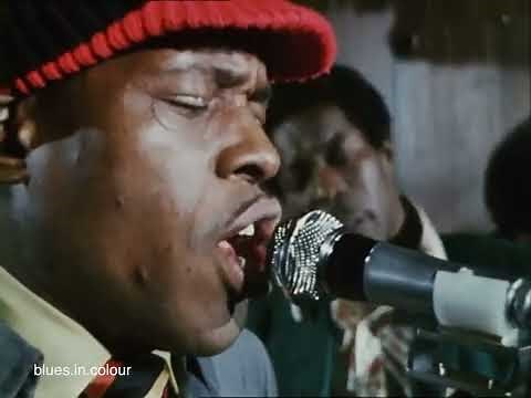 Junior Wells & Buddy Guy - live at Theresa's [Extended] 1972