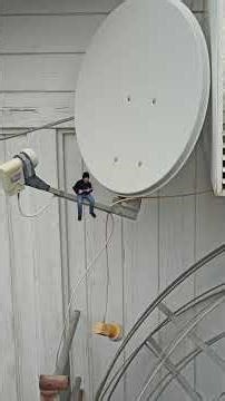 Two-timing touch and broken bones (The Hives) #ukulele #cover #music #acoustic #thehives