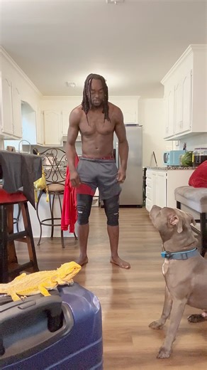 370K views · 10K reactions | Official wrestling match dog versus man路‍♂️#kingzaythatruth #dog #wow #wrestling #wrestlingtiktok #dogdad #doglover #pitbull #fyp #foryou #fypシ゚viral | KingZay ThaTruth | Facebook