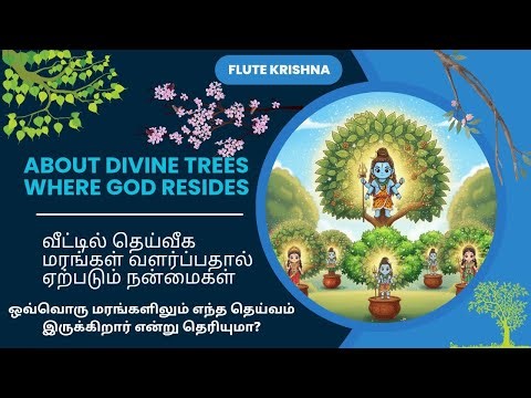 Trees & God/Divine trees in house/வீட்டில் வளர்க்கும் ஒவ்வொரு தெய்வீக மரங்களிலும் கடவுள் இருக்கிறார்