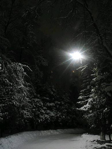 Подробнее в ТГК AI продукт продолжает разрабатываться, дизайн demo версии на этапе финиша, API для demo версии написан ☑️ #цель #стартап #программирование #ai #backend