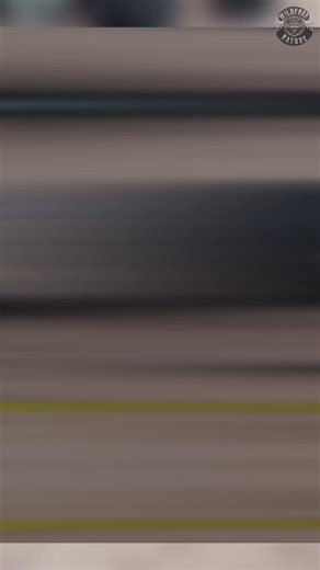 The Deadliest Virus Rabies Exposed | Everyday Zen