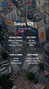 Tokyo 101: with Viator