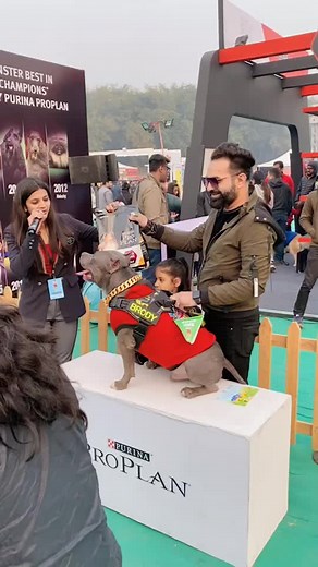 Brody the Winner 🐶😘 #harpreetsdc #petfed #brody #pitbull #ambully #dogshow #kids #truelove