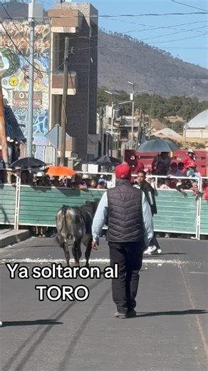Ya soltaron al TORO #shorts #shortsvideo #torosbravos #toros2026 #shortvideo #short