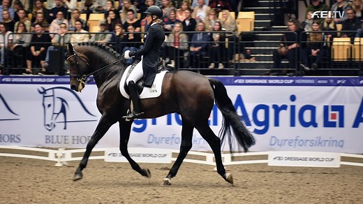 Well who do we have here! 😍 Eventing legend Ingrid Klimke takes on World Cup Herning! Competing in the FEI Dressage World Cup, Ingrid's talent knows no bounds as she sets her sight on dressage glory with her very own Franziskus! Get ready to watch them dance under the Danish lights today in the #PursuitOfPerfection! 💫 Watch live on FEI.tv 👉 https://www.clipmyhorse.tv/fei-tv | Fédération Equestre Internationale
