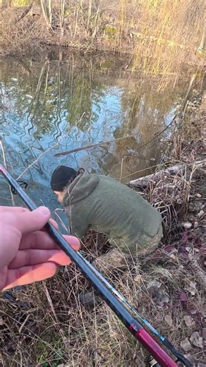 Pike fishing with an underwater camera in winter #advertisement #fishing #catchandcook #underwater