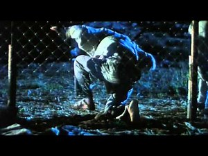 Код удачи ☯ The Fortune Code - Alan Tam, Andy Lau