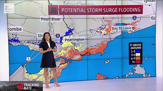 128K views · 356 reactions | Dr. Erika Navarro updates us on #Nate's potential storm surge flooding and impacts. Tune into The Weather Channel for the latest updates. Forecasting video expires at 5 pm. | The Weather Channel | Facebook