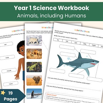 Year 1 Science Animals Including Humans | Printable Science Lesson Resources