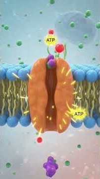 👉 Cell का Gatekeeper कौन है? 🚪🔬 | Cell Membrane Explained | Biology | Hakim Sir