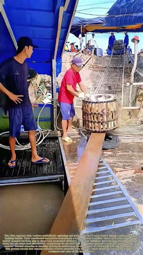 Harbor Hustle: The Unseen Skill Behind Fresh Seafood Unloading