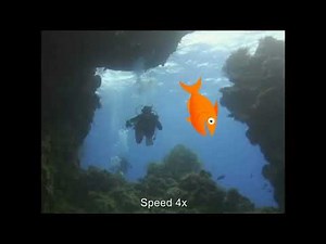 AVS Video Editor - Sample Project