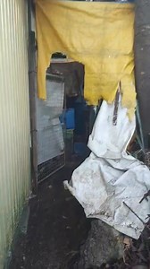 12K views · 45 reactions | UNSIGHTLY AREA IN LUALHATI This unsightly area can bee seen beside a food establishment in barangay Lualhati which residents and tourists have criticized as it is located near several tourist spots in the area. Contributed Video | Baguio Herald Express | Facebook