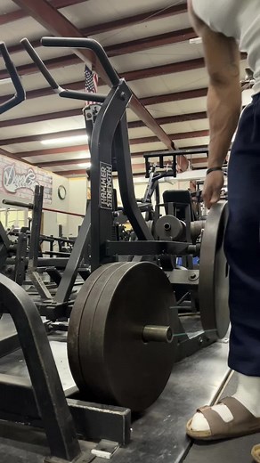 Weightlifting Seated Row Technique in Gym Setting