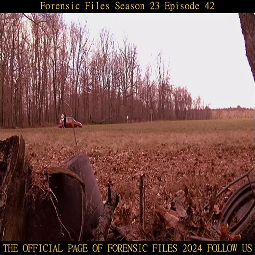 Forensic Files Season 23 Episode 42 Part 5 | Forensic Files 2024