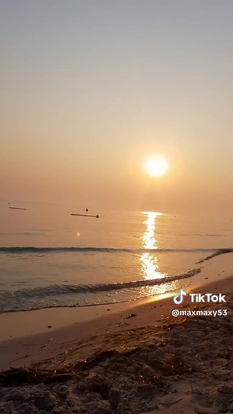 Discovering the Beauty of Tunisia: A Morning in Djerba