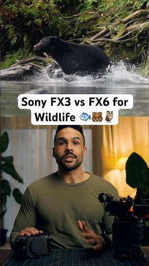Sony FX3 vs FX6 for Wildlife | 3 MAJOR Differences