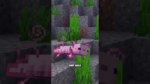 Axolotl's secret death-faking defense in Minecraft