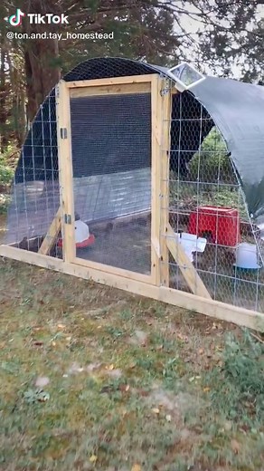 Building a Quail Dome Hoop Coop for Beginners