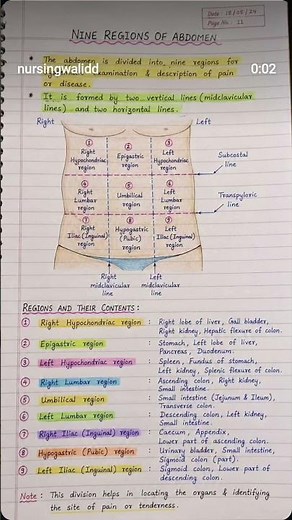 9 Regions of the Abdomen | Easy Anatomy Trick for Students | BSc Nursing | NEET | MBBS