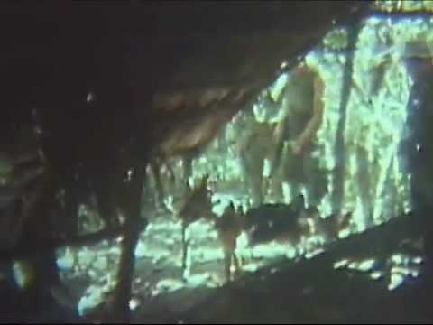 Scout Dogs in Vietnam