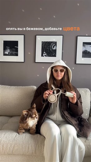 Харти | шоколадный чихуахуа | dog blog on Instagram: "«бежевая мама» добавили акцента 🧡 диспенсер (конечно, бежевый) и яркие какетики #192182284 #чихуахуа #догблог #собачийблог #собачка"