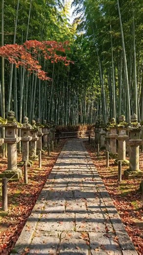 Autumn Serenity Through Kyoto Gardens