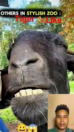 Others Stylish Zoo 🦁 Vs This One 😱#shorts #stylish #trollface