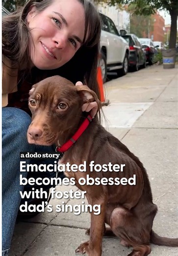 After everything she’d been through, all she wanted was to be close ❤️ Dodo editor Monica talked to @Isabel Klee about fostering one of the most emaciated dogs she’d ever seen, only to watch her become the ultimate velcro dog. Their time together ultimately taught Isabel one of the hardest and most meaningful lessons about fostering. In loving memory of Simon 🪽 Hosted and Produced by @Monica Matute