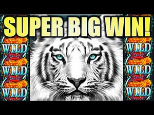 ★SUPER BIG WIN!★ WILDS WILDS WILD! SIBERIAN STORM (IGT) Slot Machine Bonus