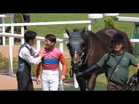 【酒井学騎手と大喜びの畑端調教師】 ペイシャモノノフ レッドベルアーム 京都8Ｒ 4歳以上2勝クラス 2024.5.5
