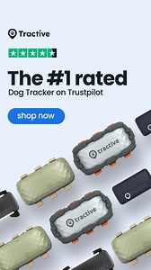 The world's most trusted tracker for pets 🐾 Track live location 📍 Get health alerts 🩺 Monitor activity and sleep 💤 Get peace of mind 😌🧠 | Tractive