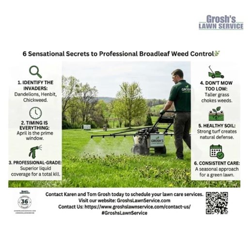 6 Sensational Secrets to Professional Broadleaf Weed Control 🌿