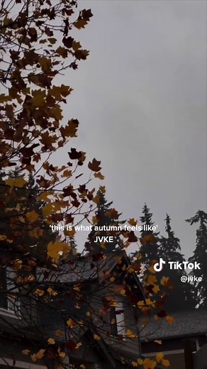 This Is What Autumn Feels Like - Fall Vibes Song