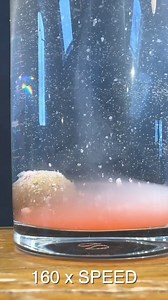 🔥𝗘𝗩𝗘𝗥 𝗦𝗘𝗘𝗡 𝗙𝗜𝗦𝗛 𝗔𝗧𝗧𝗥𝗔𝗖𝗧𝗔𝗡𝗧𝗦 𝗗𝗢 𝗧𝗛𝗜𝗦 𝗕𝗘𝗙𝗢𝗥𝗘? You can help test NEW Thick Sensate™ Fish Accelerant prototype. On Club Fjuka on the website now. Sustained released of billions of attractants. For catching bigger fish faster, even on longer sessions. #carpfishing #carp #fishing #angling #fishingbait | Fjuka Fishing Bait