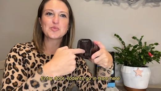 NEWEST  Humane Mouse Trap Safe for Children, Pets and Humans