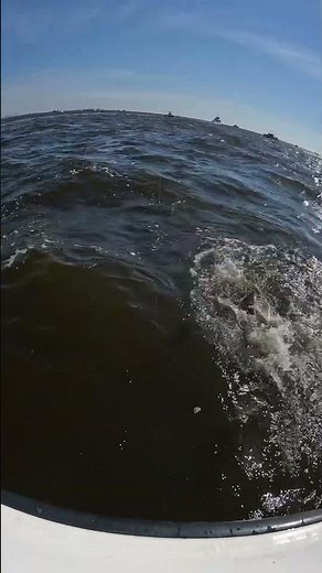 Striped Bass Fishing Inshore Saltwater