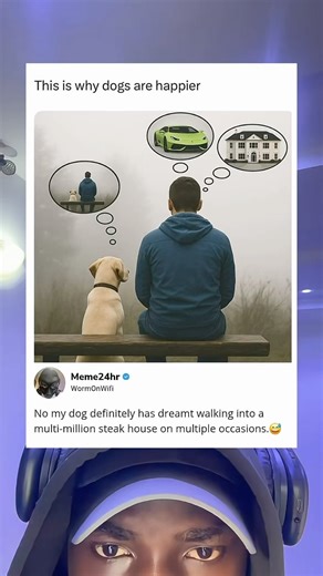 This is why dogs are happier