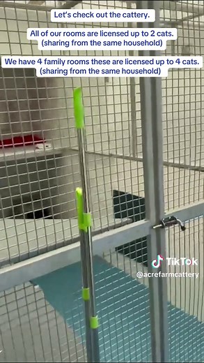 🔵🟢Acre Farm Cattery boasts 38 standard rooms all licensed for 2 cats sharing (from the same household). We have 4 quad rooms licensed for 4 cats sharing (from the same household). All of our rooms are bigger than the required space. At Acre Farm Cattery your cat is always our priority.🟢🔵 ‼️😻As always if you know your dates please get booked in…our diary is open for 2026😻‼️ 📞01782 515515 📧acrefarmcats@gmail.com 💻https://acrefarmcattery.co.uk 🐈📍Acre Farm Cattery, Crowborough Road, Lask 