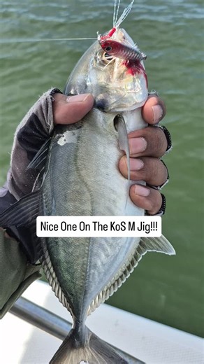 Nice Carrangs Aka Blue Runner Aka Green Back On The KoS M Jig! Full Video Now Up On YouTube - KoS M Fishing. #kosm #kosmjigs #bluerunner #inshorefishing #fishingvideos | KoS M Fishing