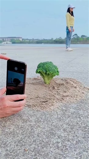 Creative Photography tips & hacks 📸🔥 PART13. Rate The Idea 1-10👇 #creativephotography #photoshootideas #posestips #amazing #amazingvideo #amazingphoto #photography #photographer #photoideas #photohacks #phototips #creativevideo #trending #viral #fyp #videocreators